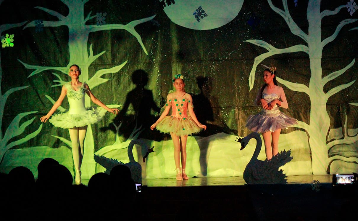 SWAN LAKE SWAN LAKE