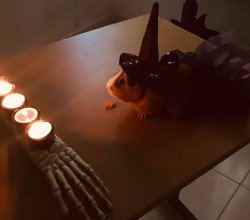Horror Week Bachillerato Colegio San Ángel Poza Rica
